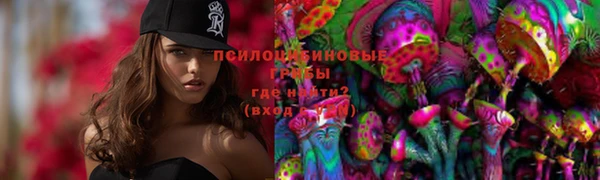 соль ск Алексин