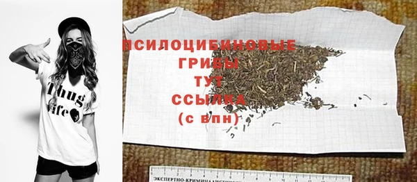 соль ск Алексин